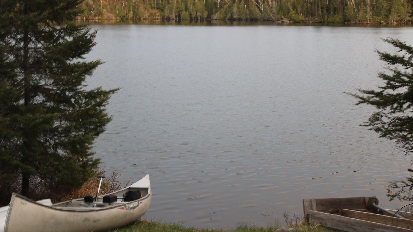 Blue lake and evergreen shoreline representing St. Louis County northern lake country.