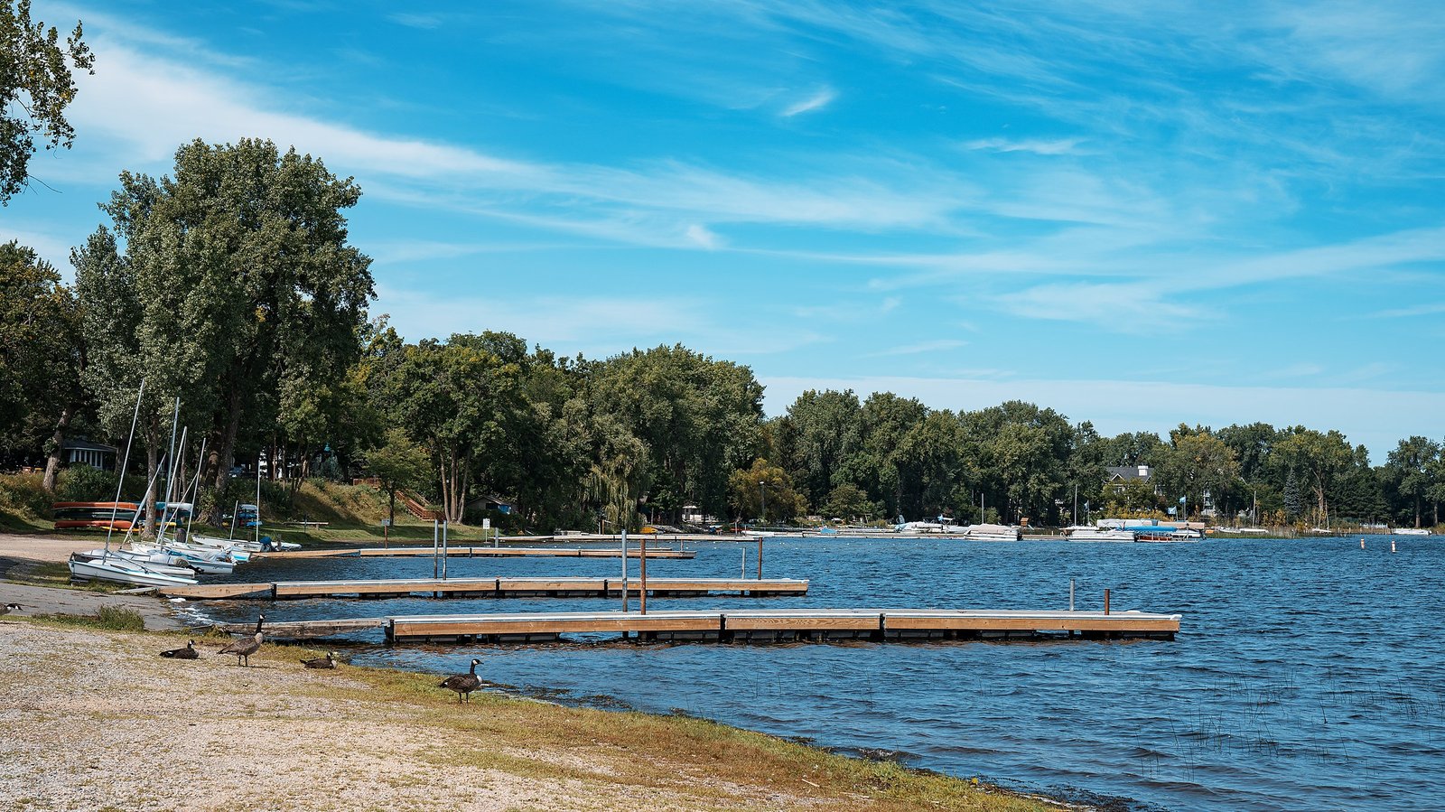 Swimmers in bright summer lake water representing White Bear Lake recreation.