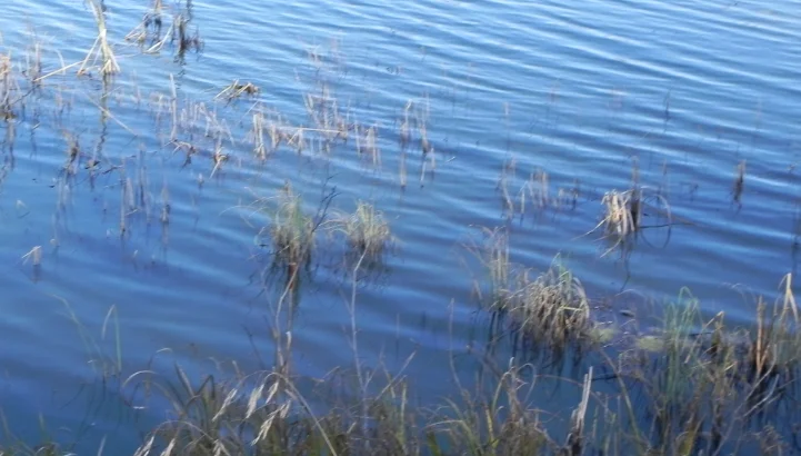 Little Chippewa Lake