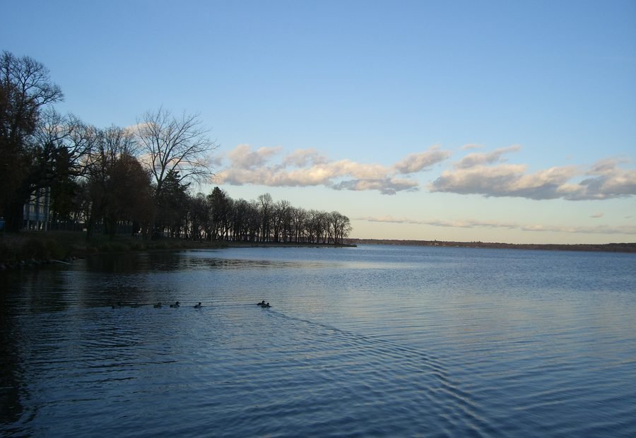 Lake Bemidji shoreline used as a guide visual for lake search and source-backed records.