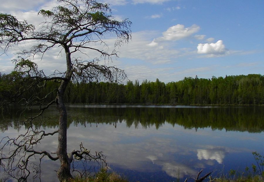 Quiet northern Minnesota lake used as a lake-learning guide visual.