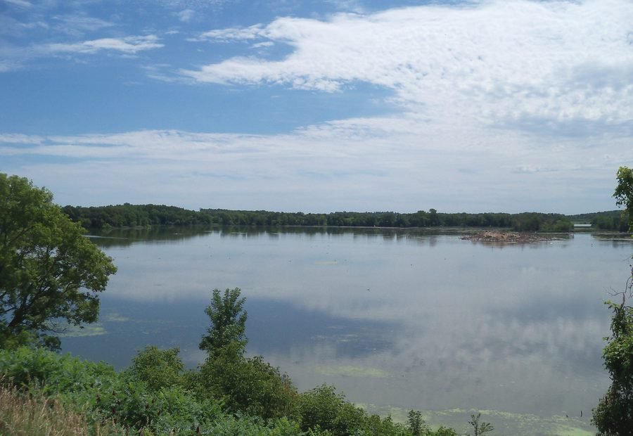 Minnesota lake and tree shoreline used for region and county browsing.