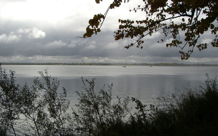 Fall shoreline view of a Minnesota lake used for the source-trail homepage card.