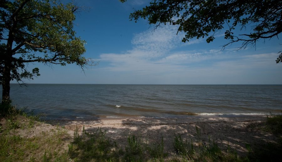 Large Minnesota lake shoreline used for lake-learning and water-context cards.