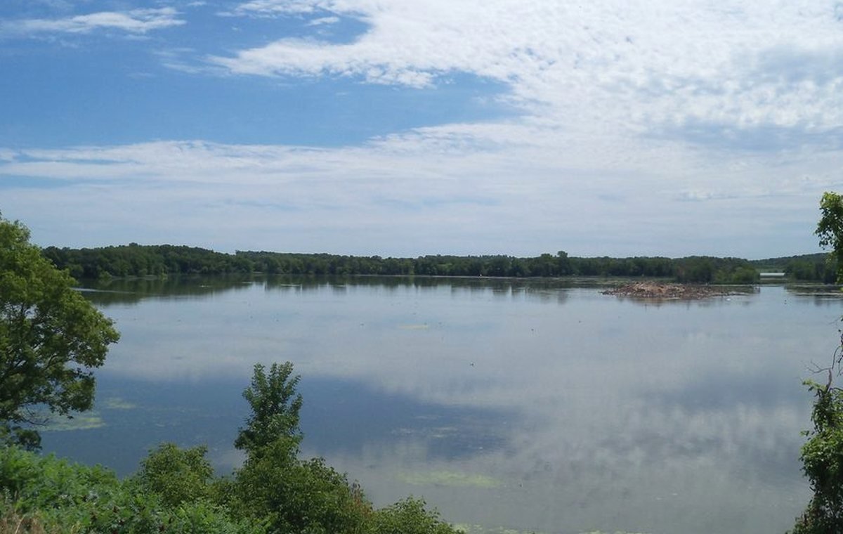 Minnesota lake shoreline used as a lightweight map panel preview.