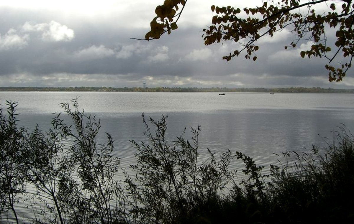 Fall Minnesota lake shoreline used for fall color trip planning.
