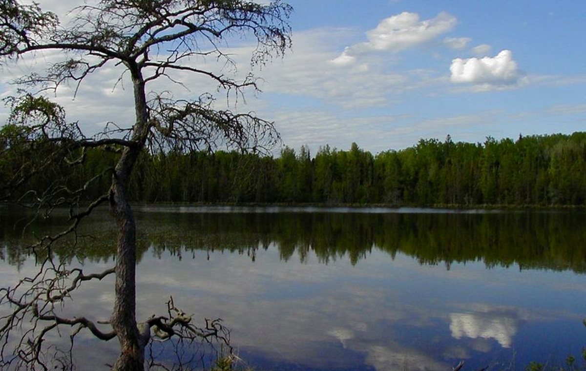 Quiet Minnesota lake shoreline used for family lake-day planning.