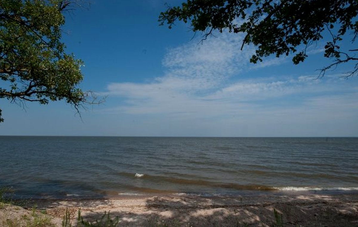 Broad Minnesota lake shoreline used for summer lake-day planning.