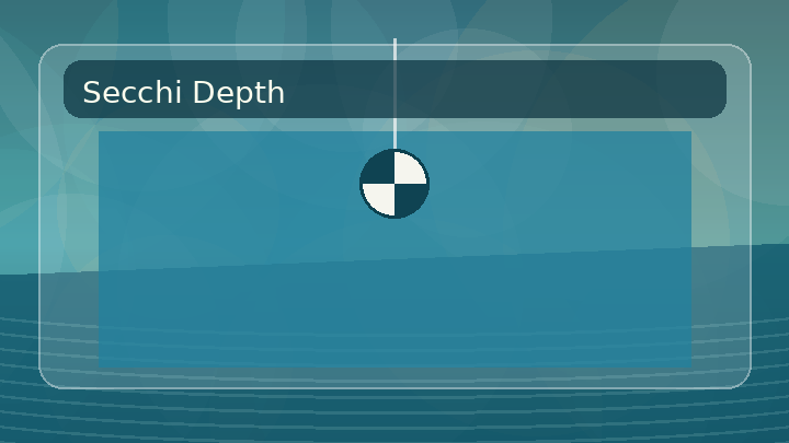 Generated thumbnail for water clarity and Secchi depth with disk and light-depth diagram.
