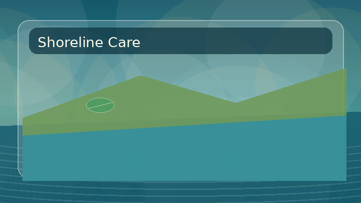 Generated thumbnail for shoreline stewardship with native buffer and runoff filter diagram.