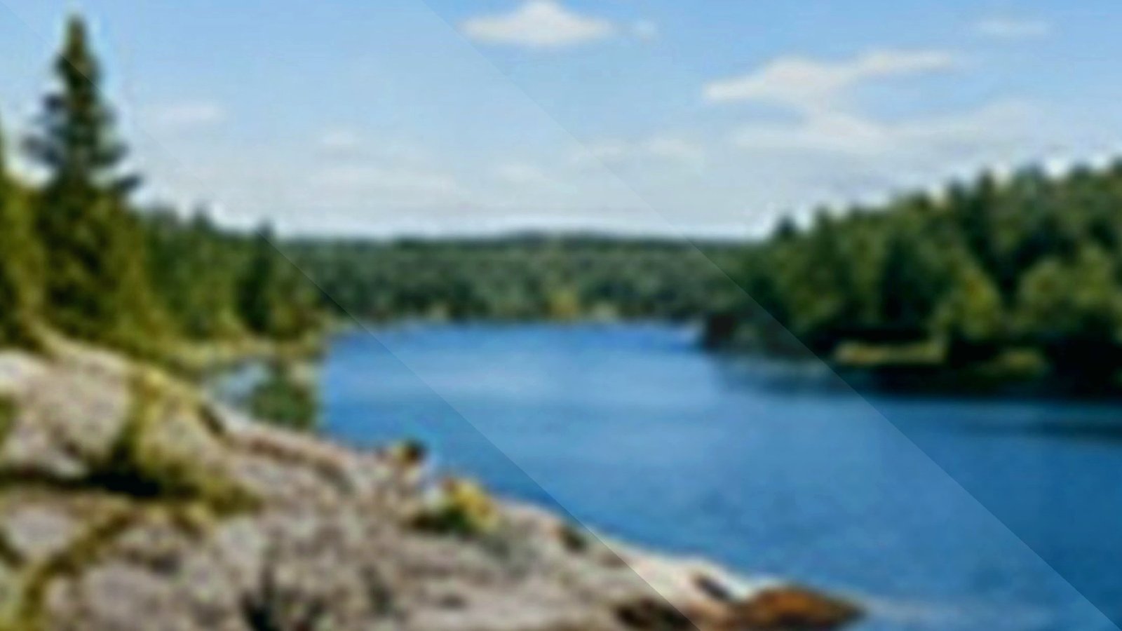 Lake of the Woods best fishing lakes guide image for Minnesota lake planning.