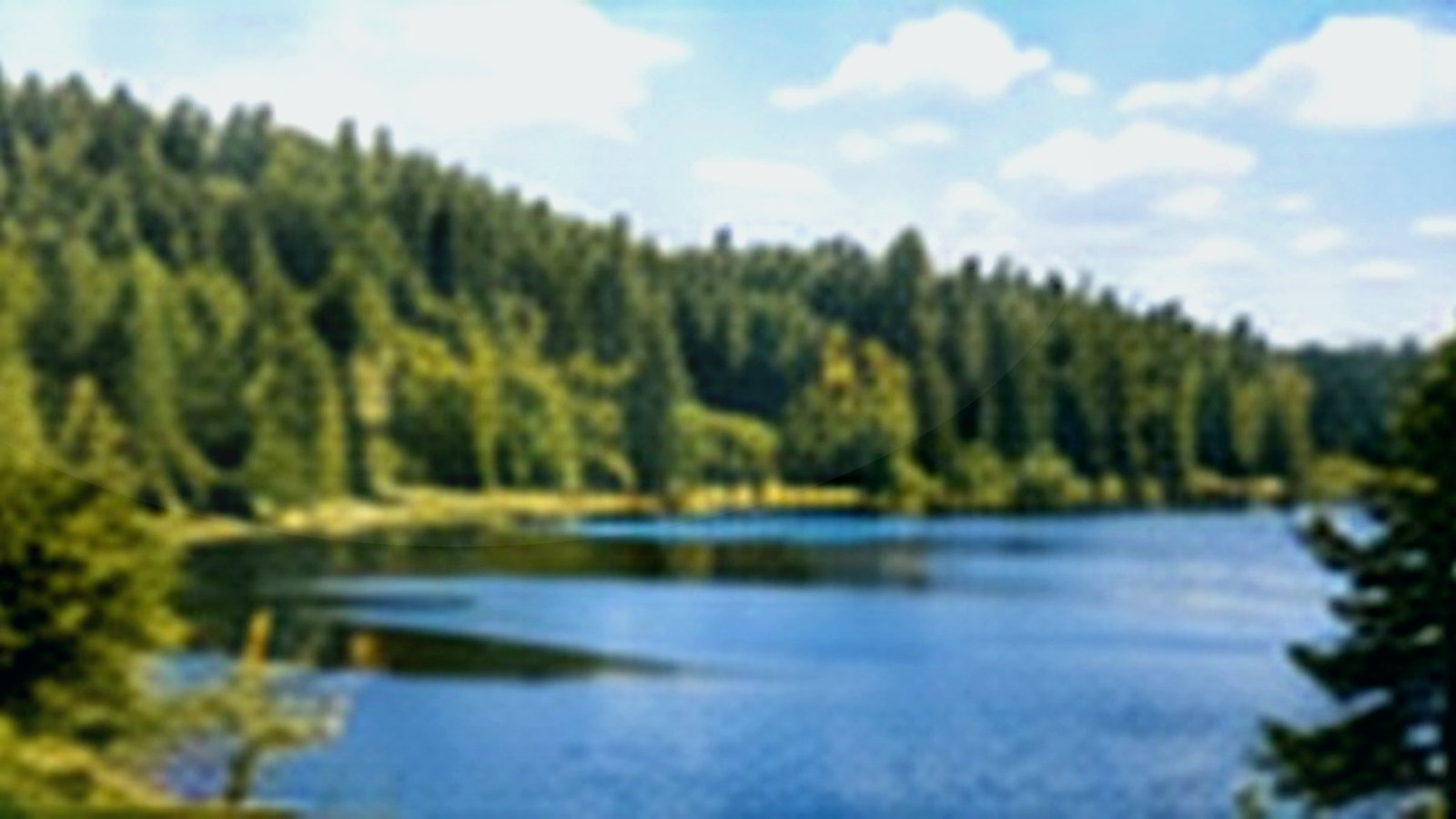 Lower Red Lake largest lakes guide image for Minnesota lake planning.