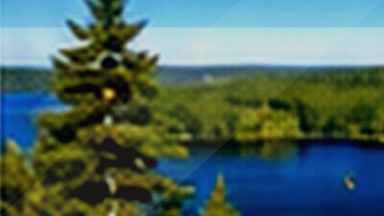 Devil Track Lake lakes with odd facts guide image for Minnesota lake planning.