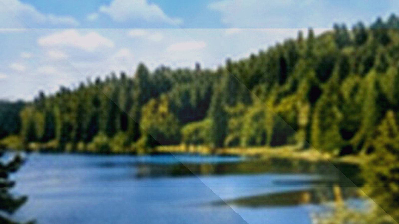 Lac qui Parle lakes with odd facts guide image for Minnesota lake planning.