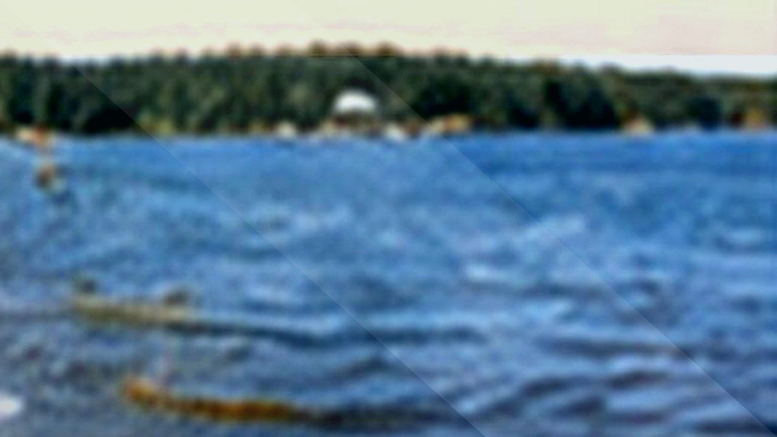 Metro Minnesota skyline and lake scene for urban lake planning.