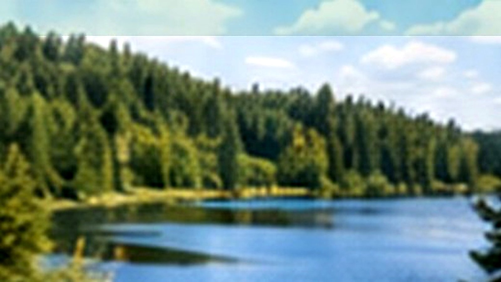 Generated Regions page deep-water preview image for Loon Lake in Cook County.