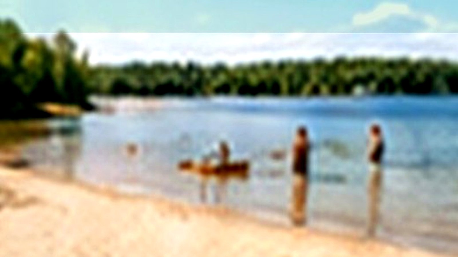 Generated Northwest lake preview for Lake Winnibigoshish forest-water planning.