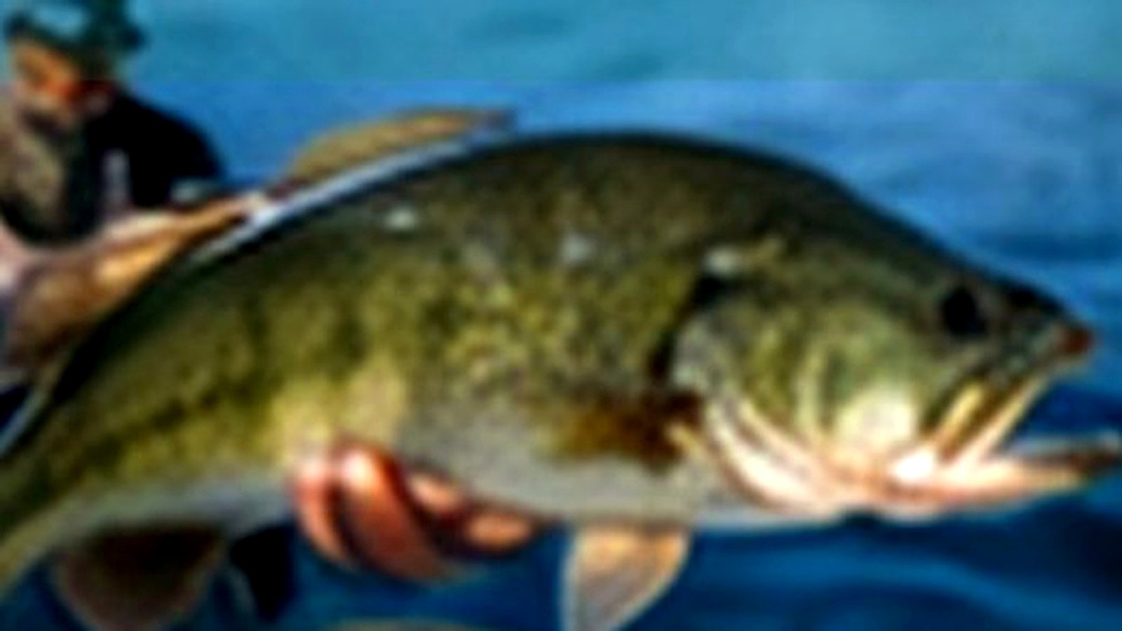 Otter Tail in Otter Tail County